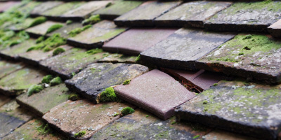 Newnham roof repair costs